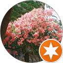 Daniela R. profile picture